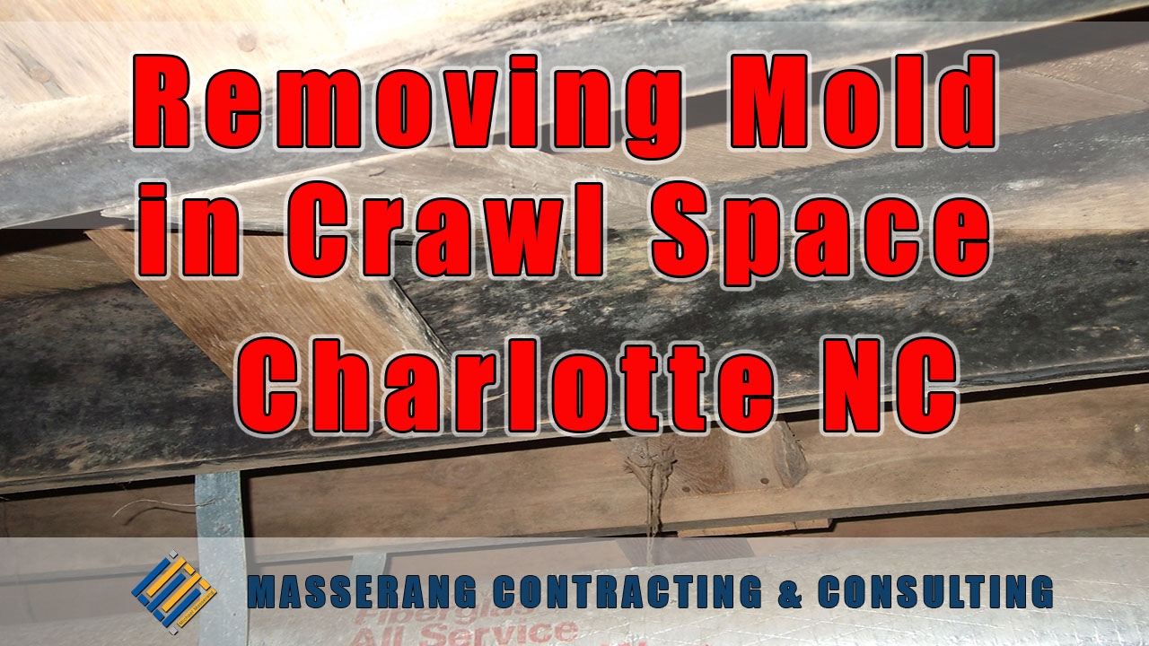 Removing Mold in Crawl Spaces in 2025 - Charlotte NC - What Products are Effective and Who To Trust?