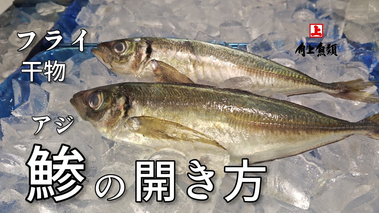 社内マニュアルを公開！