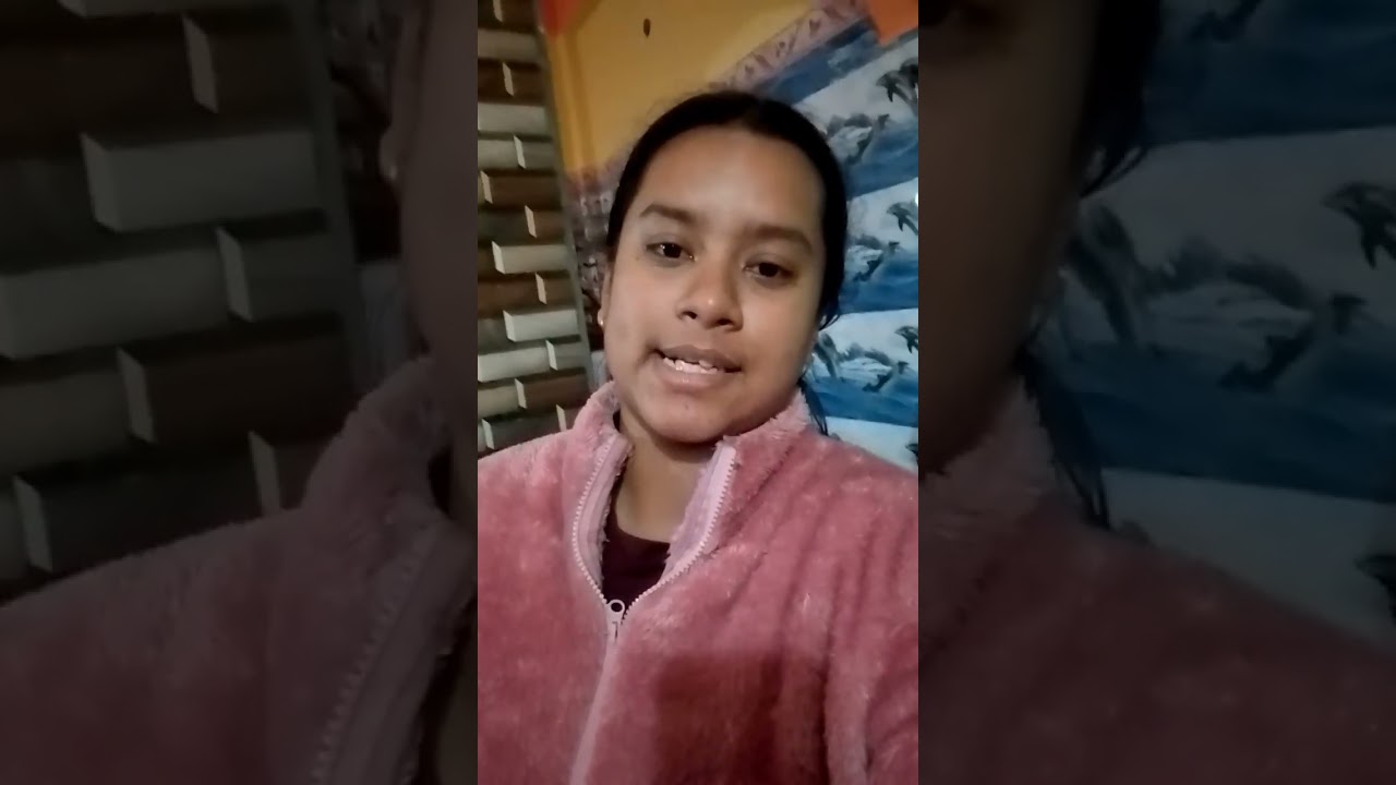 ll Magh Bihu Vlog ll 