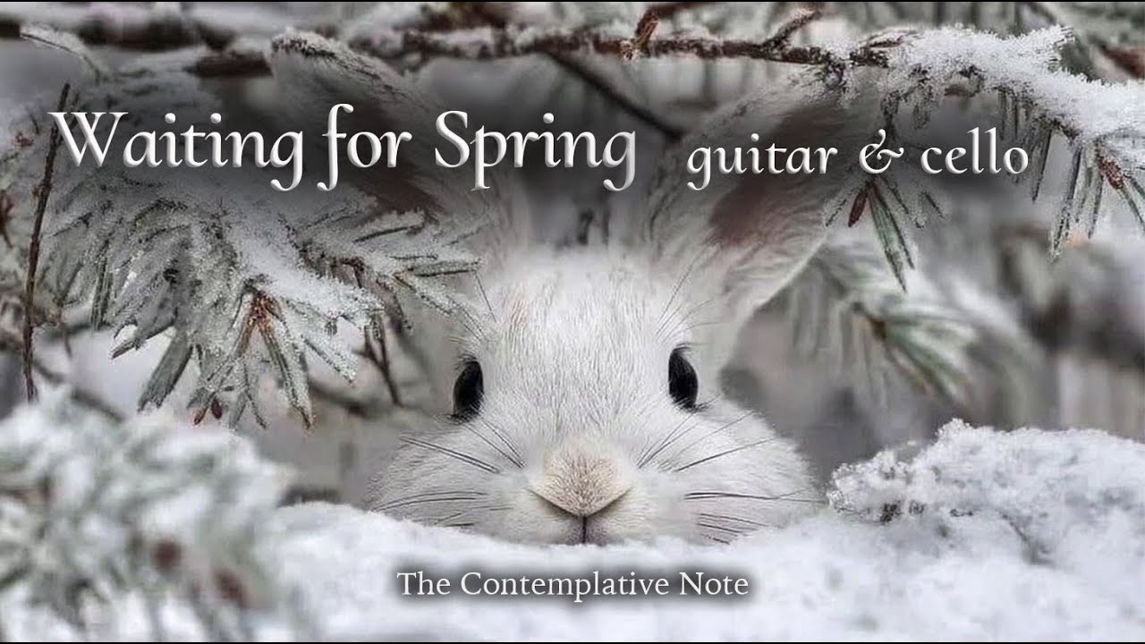 Waiting for Spring Beneath Silent Snow ❄️✨Relaxing Guitar & Cello for Peaceful Waiting