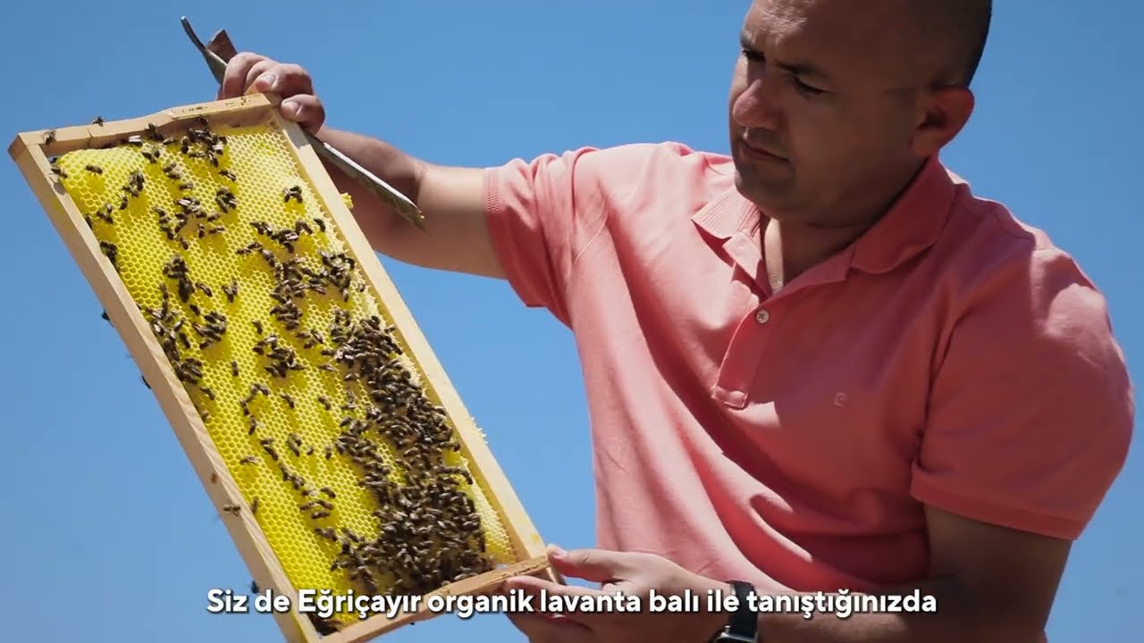 Organik Lavanta Balı