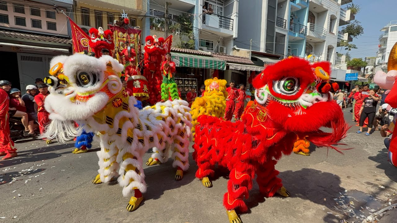 Mùng 5 Tết Múa Lân Múa Rồng Tinh Anh Đường Quận 11 / Múa Lân Hay Nhất 2026