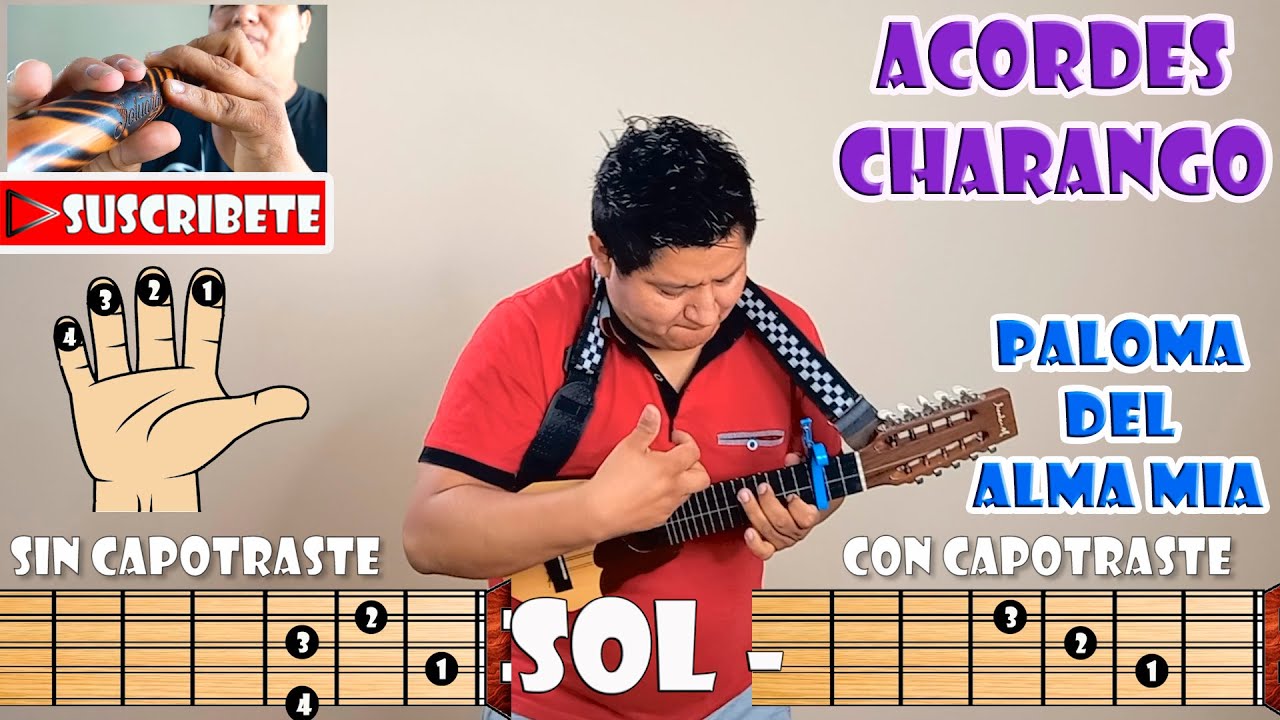 PALOMA DEL ALMA MIA - ACORDES CHARANGO - PROYECCION