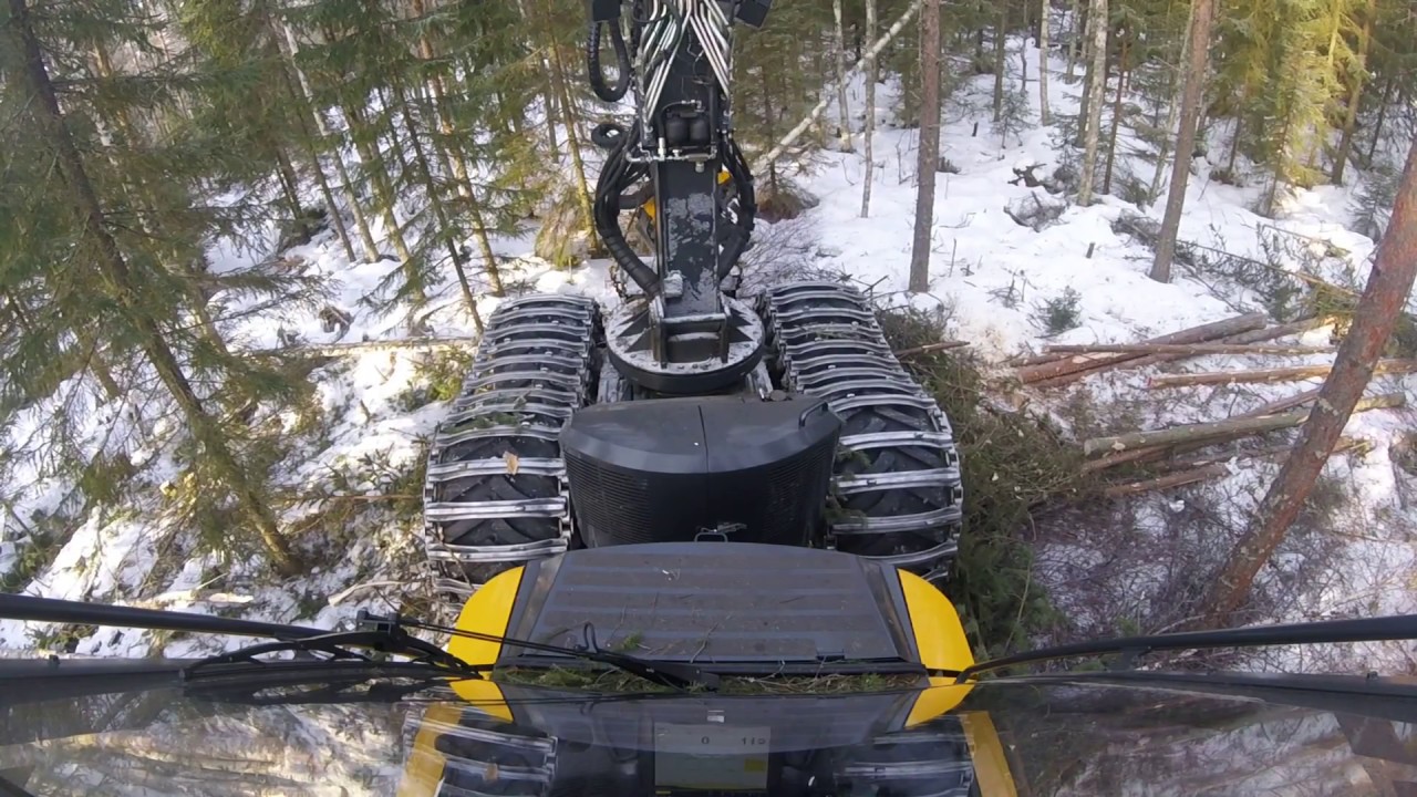 Metsäalan opintoja JEDU Haapajärvellä