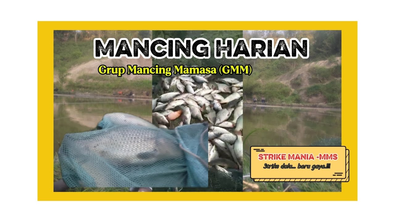 Umpan kalah saing,... Mancing cuman dapat 3 ekor ikan mas ll Mancing harian GMM