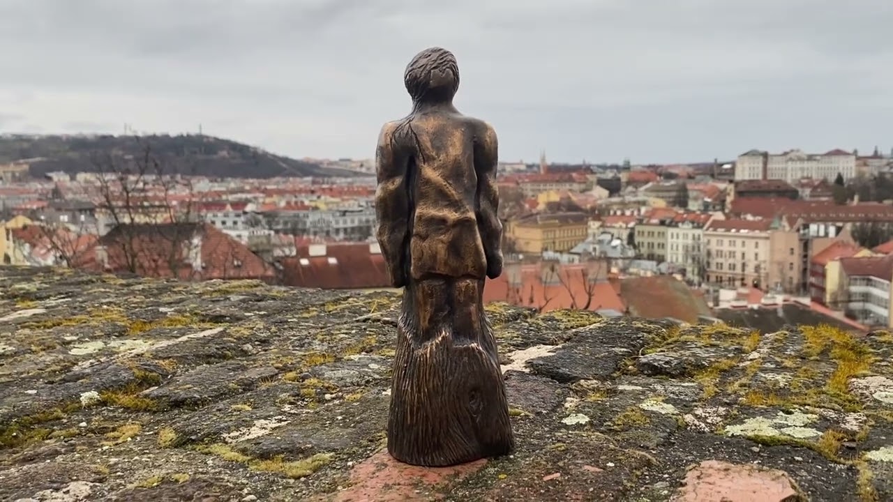 Jedlový strážce 2026