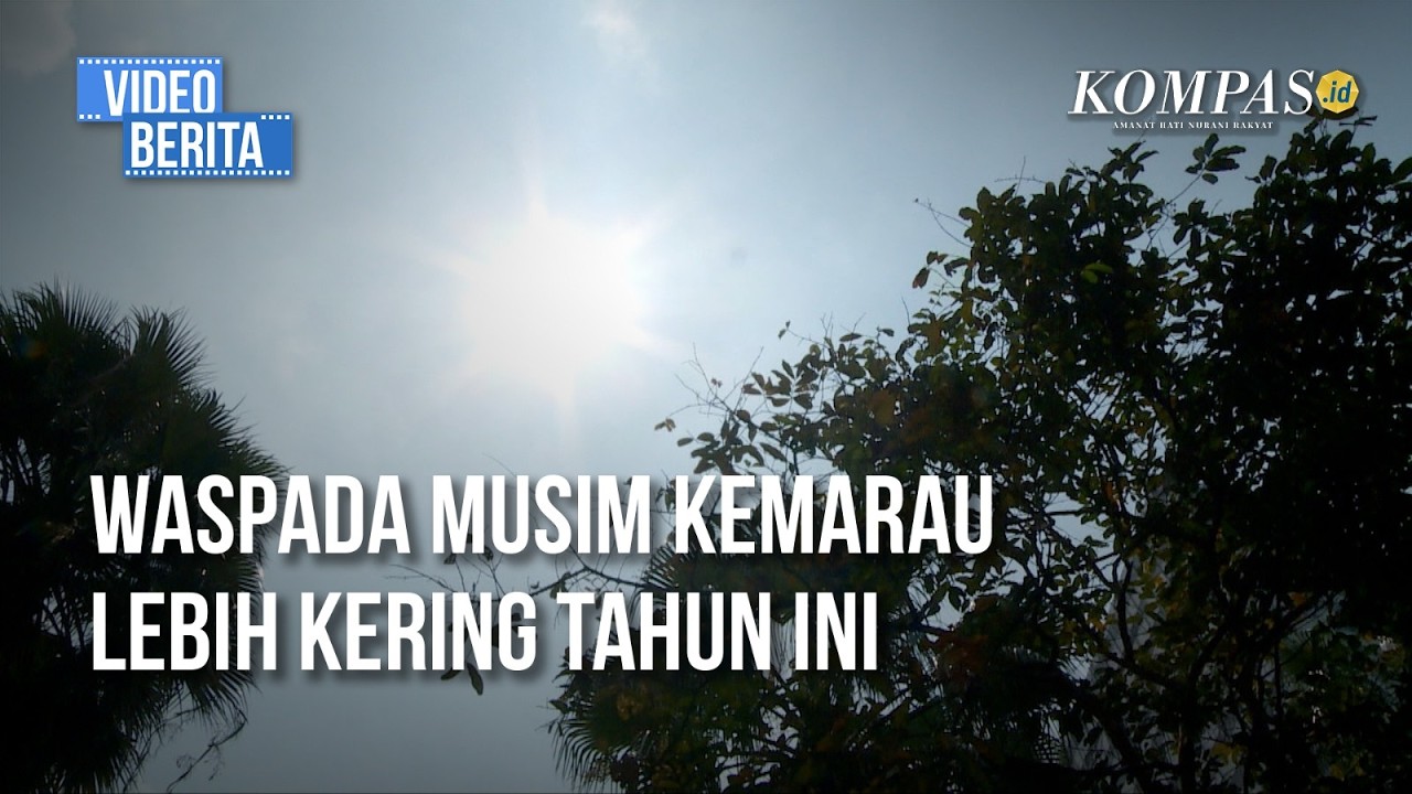 BMKG Prediksi Musim Kemarau Datang Lebih Awal