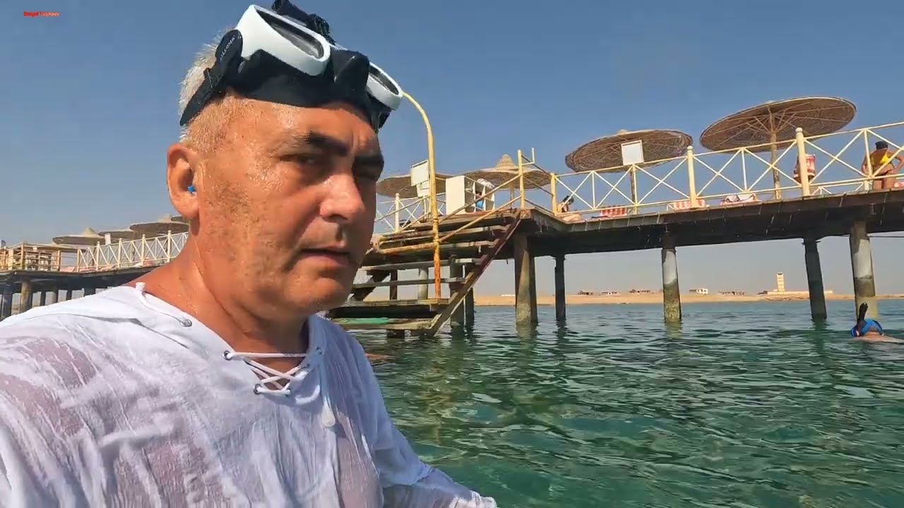 EL KARMA AQUA BEACH 5* / HURGHADA 🇪🇬 Подводная жизнь.