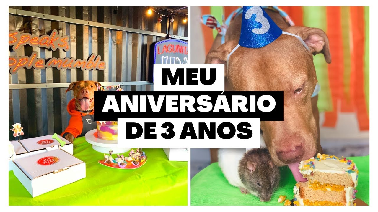 Minha festinha de aniversário | Pet pizza + Bolo confeitado Pet | Festa de cachorro