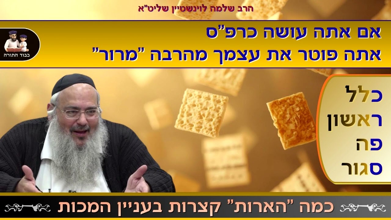 כמה הארות קצרות בעניין המכות - הרב שלמה לוינשטיין שליט''א