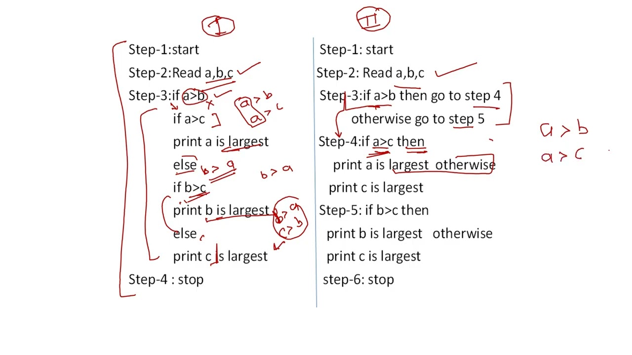 Algorithm: Definition and Example