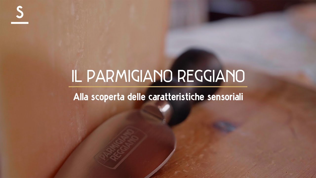 Il Parmigiano Reggiano: alla scoperta delle caratteristiche sensoriali