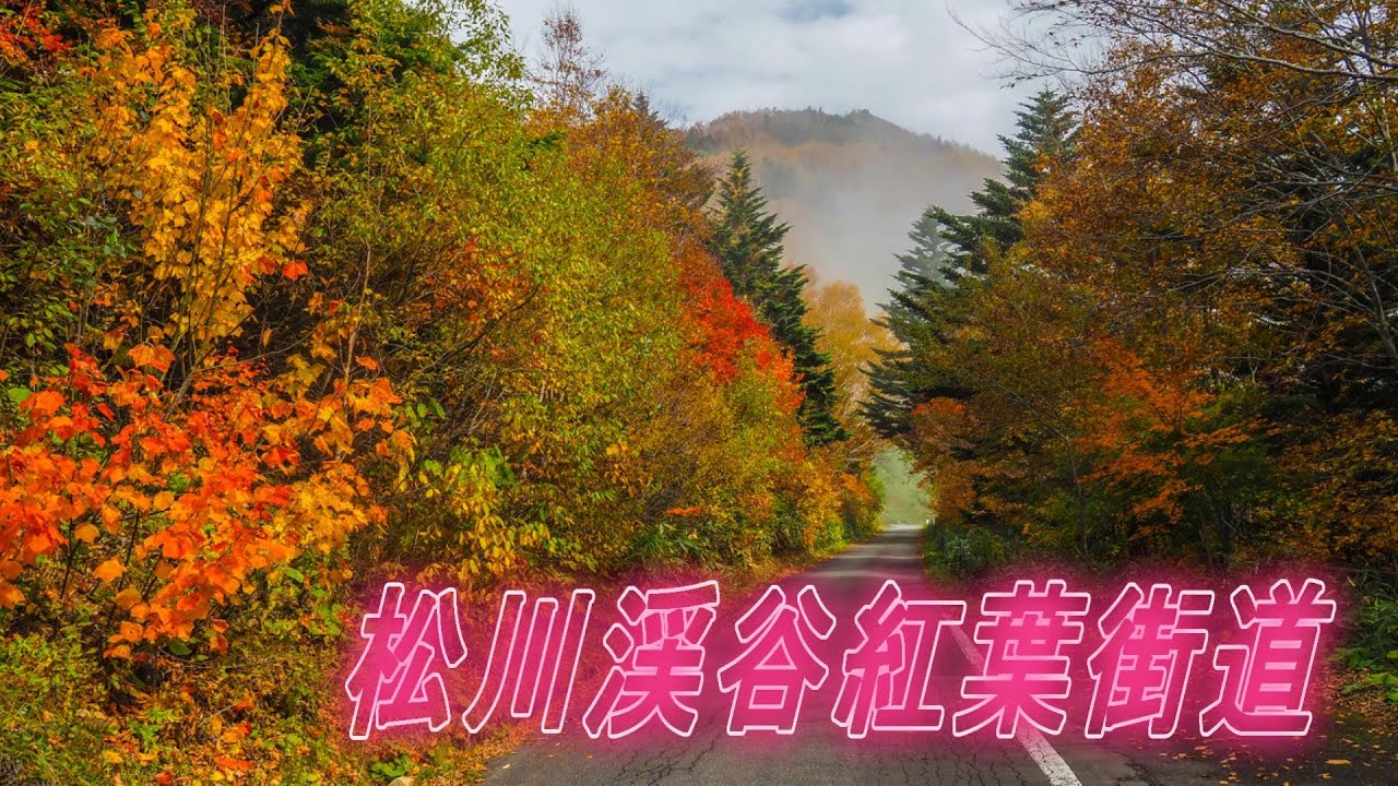 通称「もみじ街道」と言われている、松川渓谷の紅葉を見て来ました。