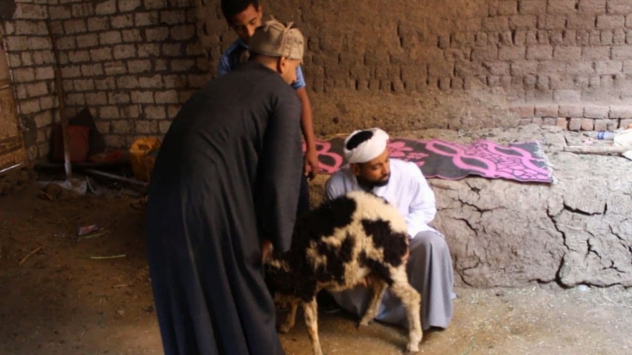 اضحك من قلبك مع عساس البهايم 🤣🤣