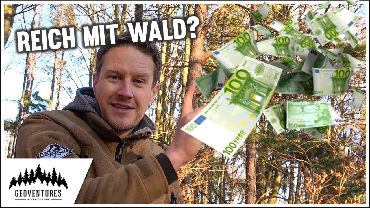 7 Wege mit deinem Wald Geld zu verdienen