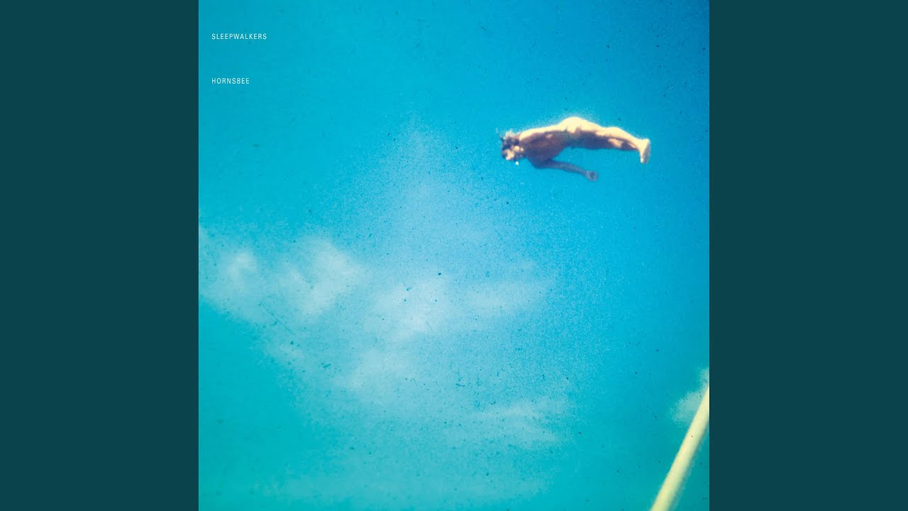Sleepwalkers