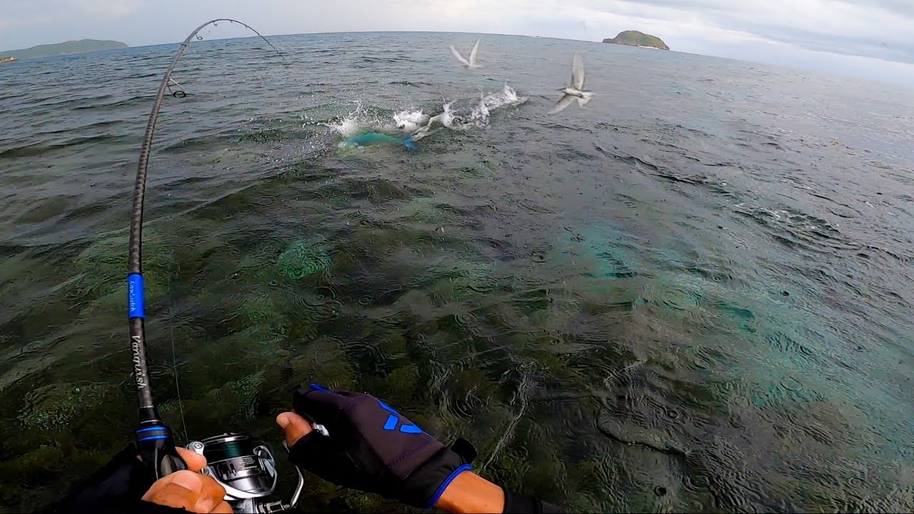 Sabik Sa Lure Mga isda❗Ayaw Paawat Sa Kagat