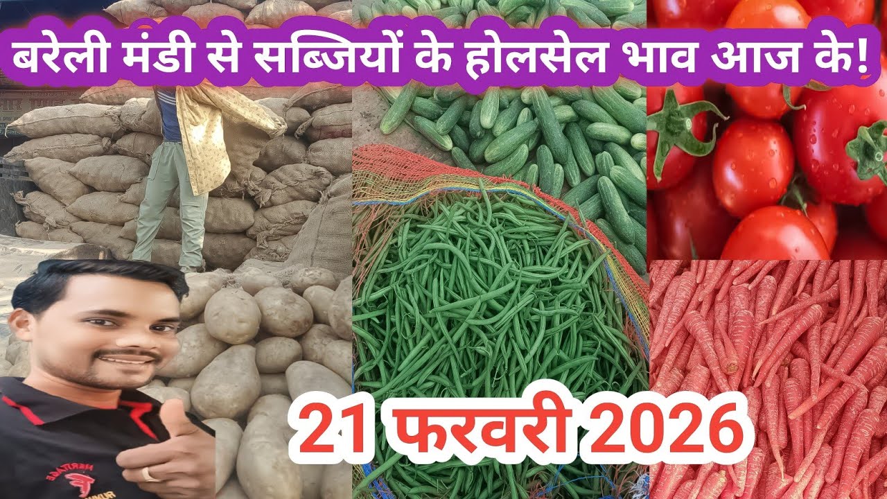 February 21, 2026 सब्जियों के होलसेल भाव आज के बरेली!! Vegetable price