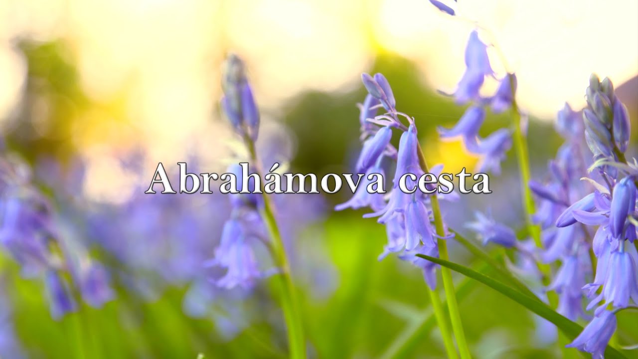 BIBLIA 3 | Abrahámova cesta