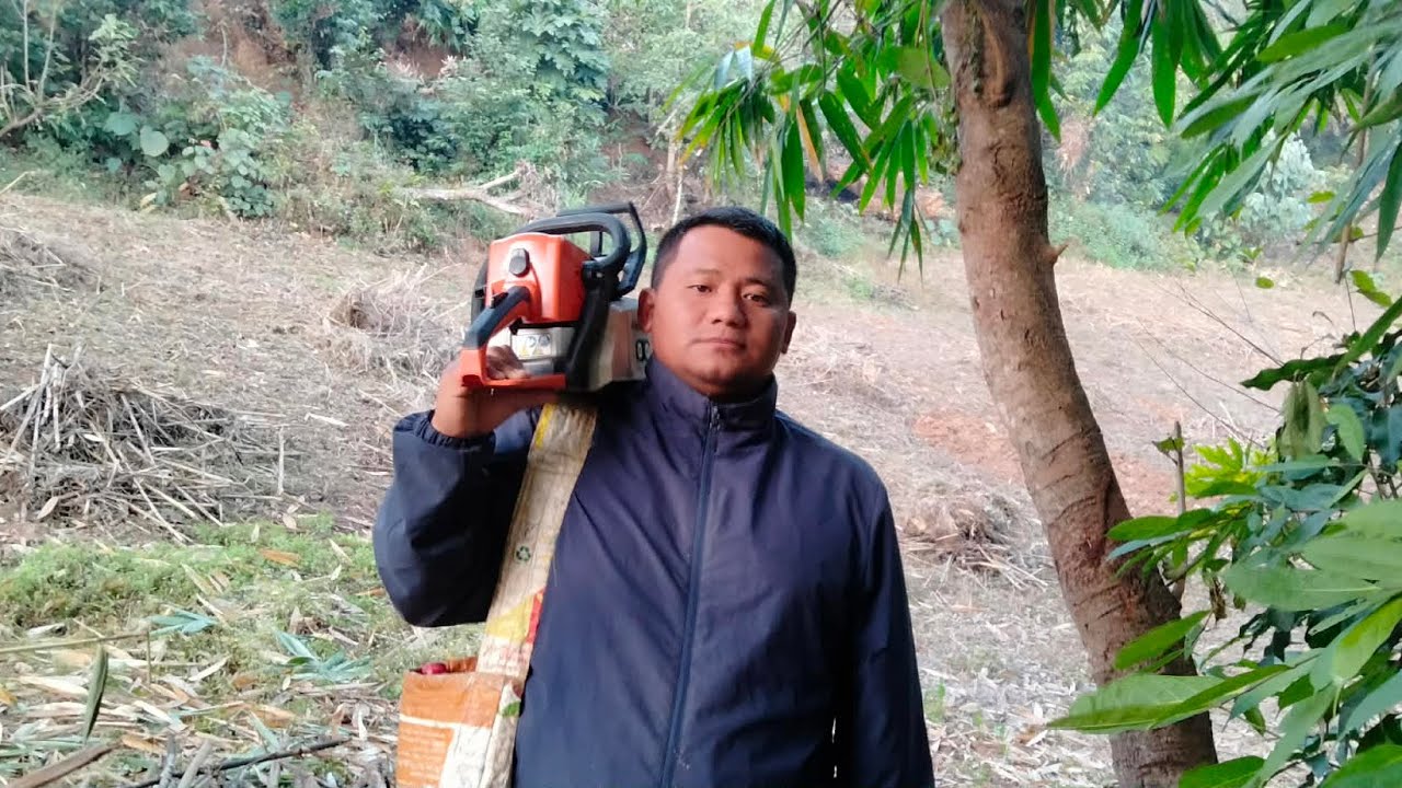 Full day in the jungle. #wildlife#jungle day #viral#woodcutter#vlog
