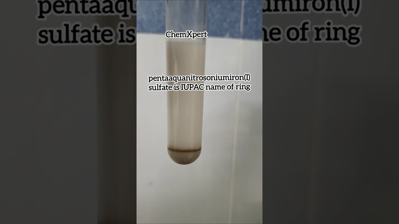 Brown Ring Test in Barium Nitrate | Class 12 Chemistry Practical 