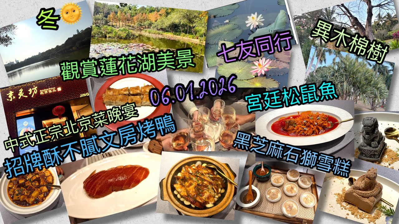 [為食貓NN] 早春🌸|NewYear第一擊|深圳蓮花山公園一天遊|少年宮地鐵站|七友共渡2026|中式潮菜風味|金獎滷水鵝|書店chill喝咖啡|中式正宗北京名菜|京炙酥不膩文房烤鴨|2026