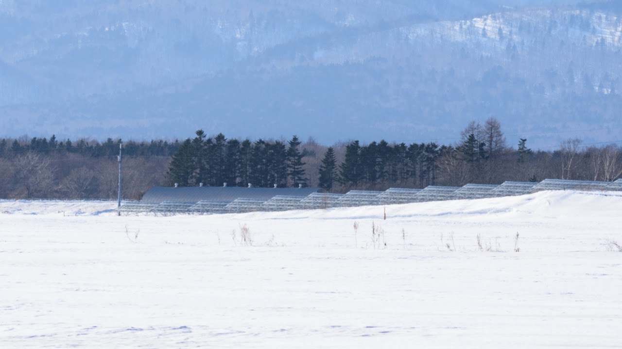 北海道標津郡標津町南一条東ライブカメラ Hokkaido Shibetsu Live camera.world.cam