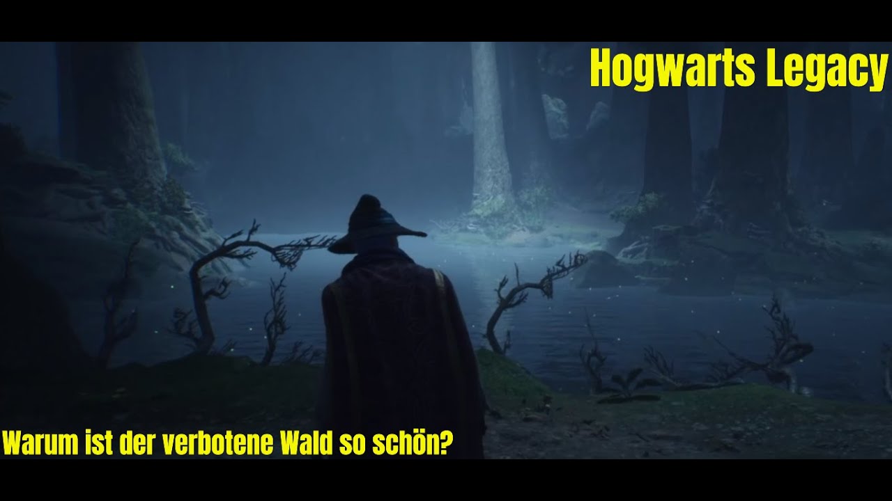 Hogwarts Legacy #15 - Warum ist der verbotene Wald so schön?