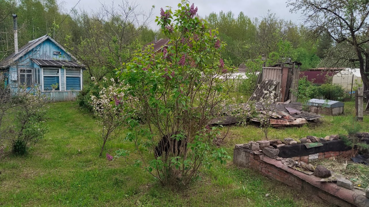 Обзор нового дачного участка(я лоханулась?)