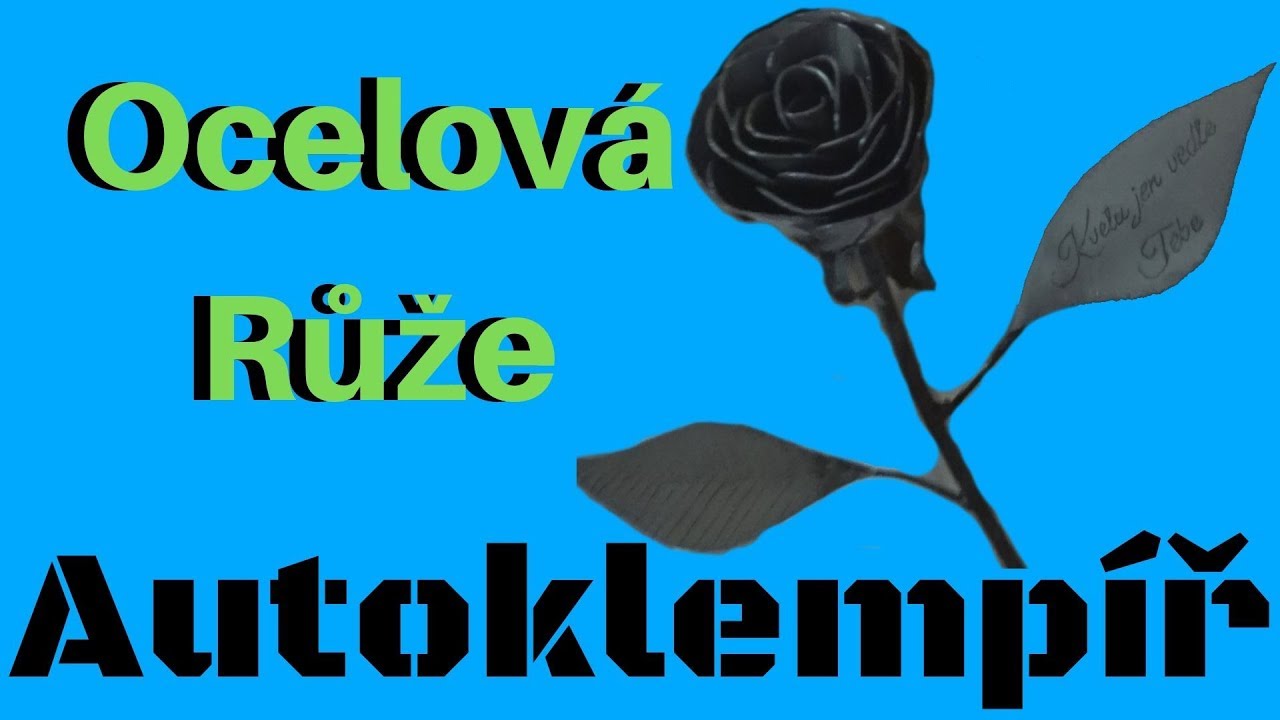 Ocelová růže (Steel rose)