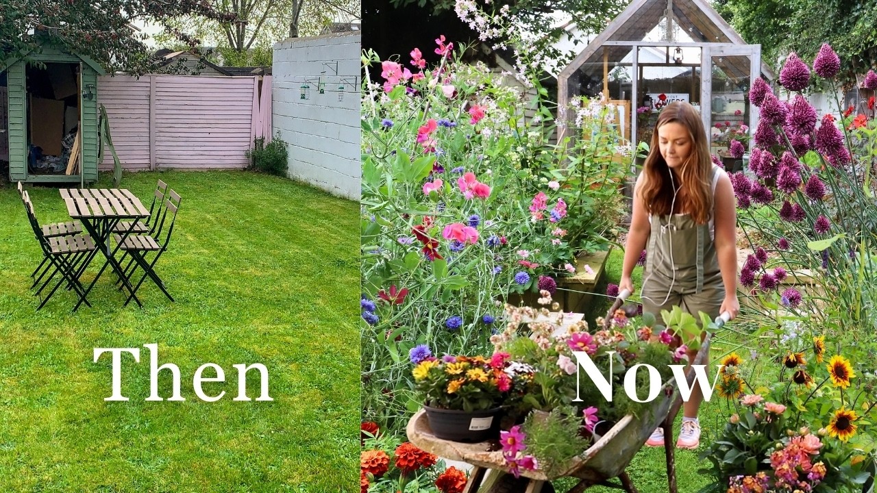 The Realistic Cottage Garden: From Humble Beginnings to July Showstopper