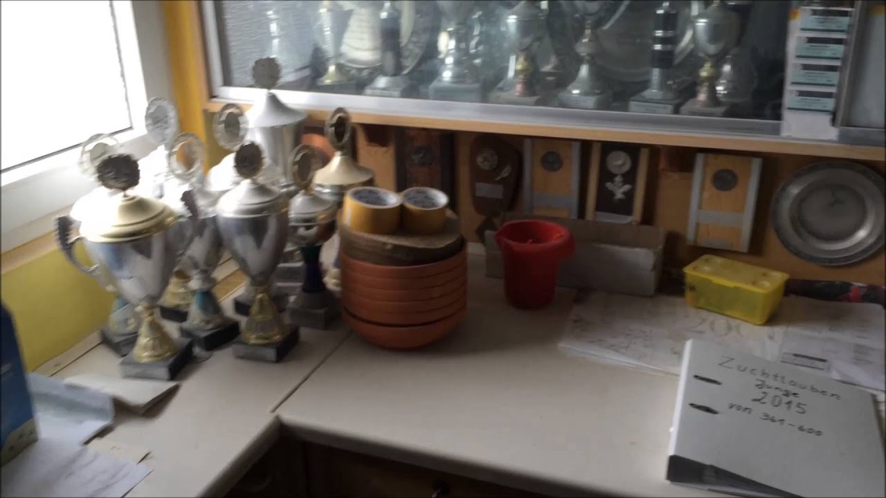 Octávio Ribeiro Alfons Klaas  Alemanha Parte 1