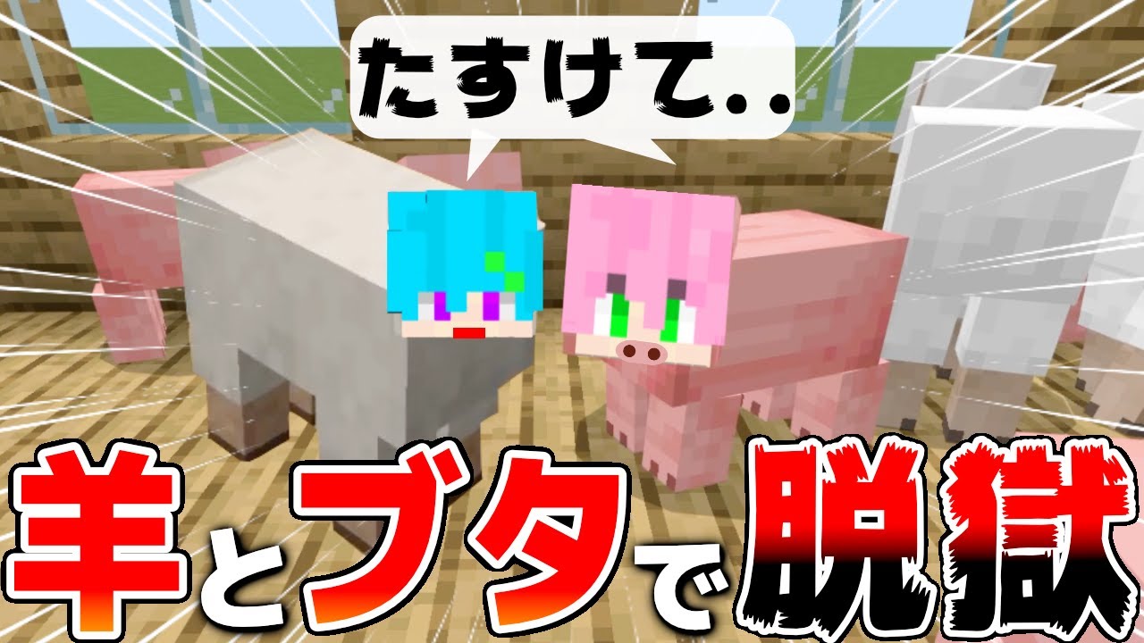 ヒツジとブタとして生きる世界で大脱獄した結果ｗｗｗｗ【【マインクラフト・まいくら】まひてる