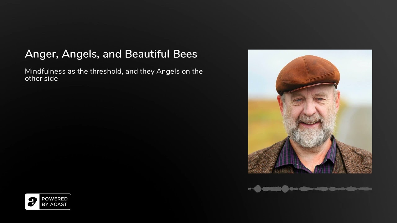 Anger, Angels, and Beautiful Bees