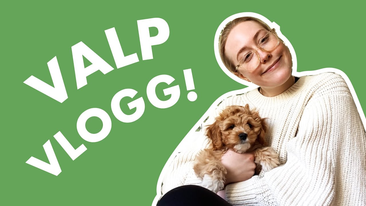 ANDRA VECKAN MED VÅR VALP!
