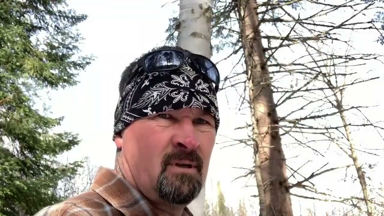 Hike out to hidden shelter in the woods 
