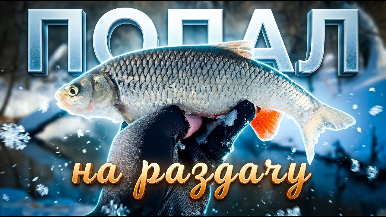 ГОЛАВЛЬ КЛЮЕТ ДУРИКОМ на МОРМЫШКУ 🔥 ВСЕ ТАКИ Я НАШЕЛ ЕГО ЛОГОВО ☝️