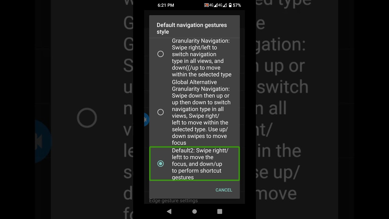 Jieshuo Screen Reader Basic/ Advanced Setup For Blind And Lo Vision Users Using Mobile Technology