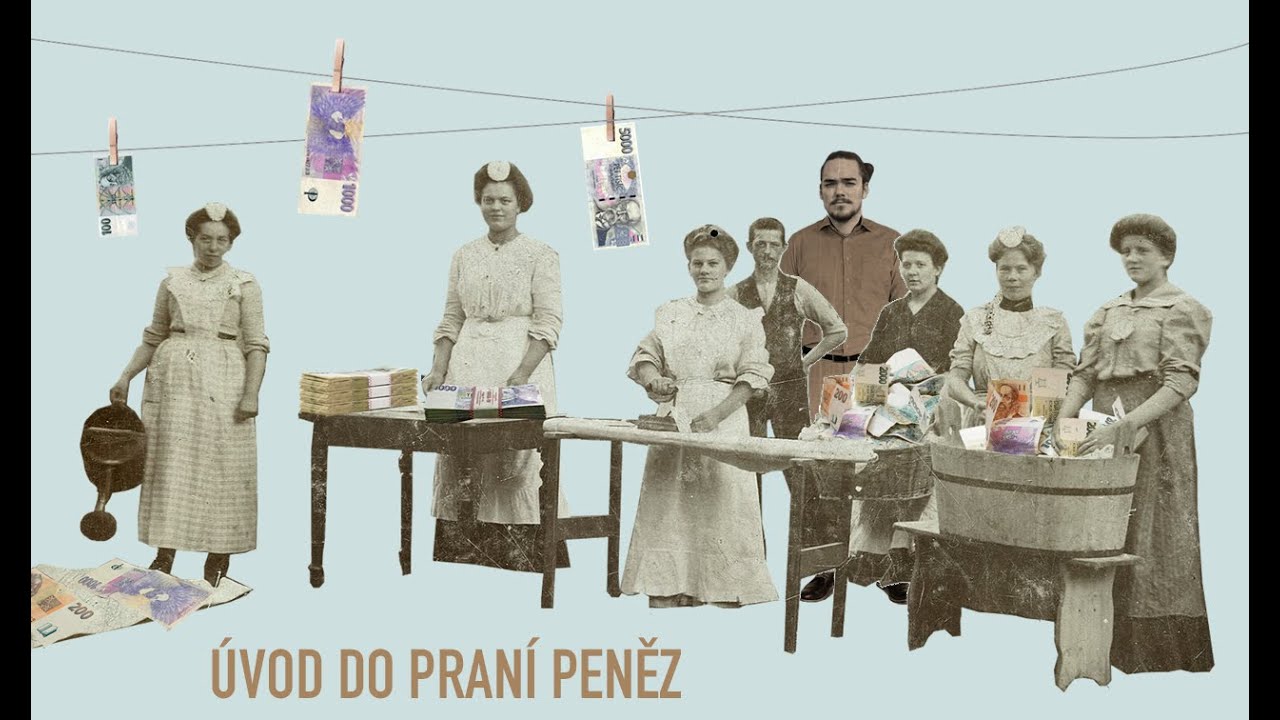 &Uacute;vod do pran&iacute; peněz