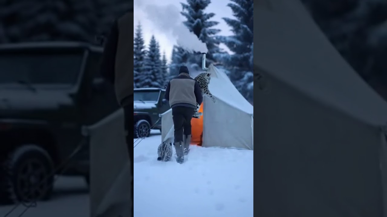 Brave Snow Leopard Cub Saves His Frozen Mother With A Kind Man's Help! 