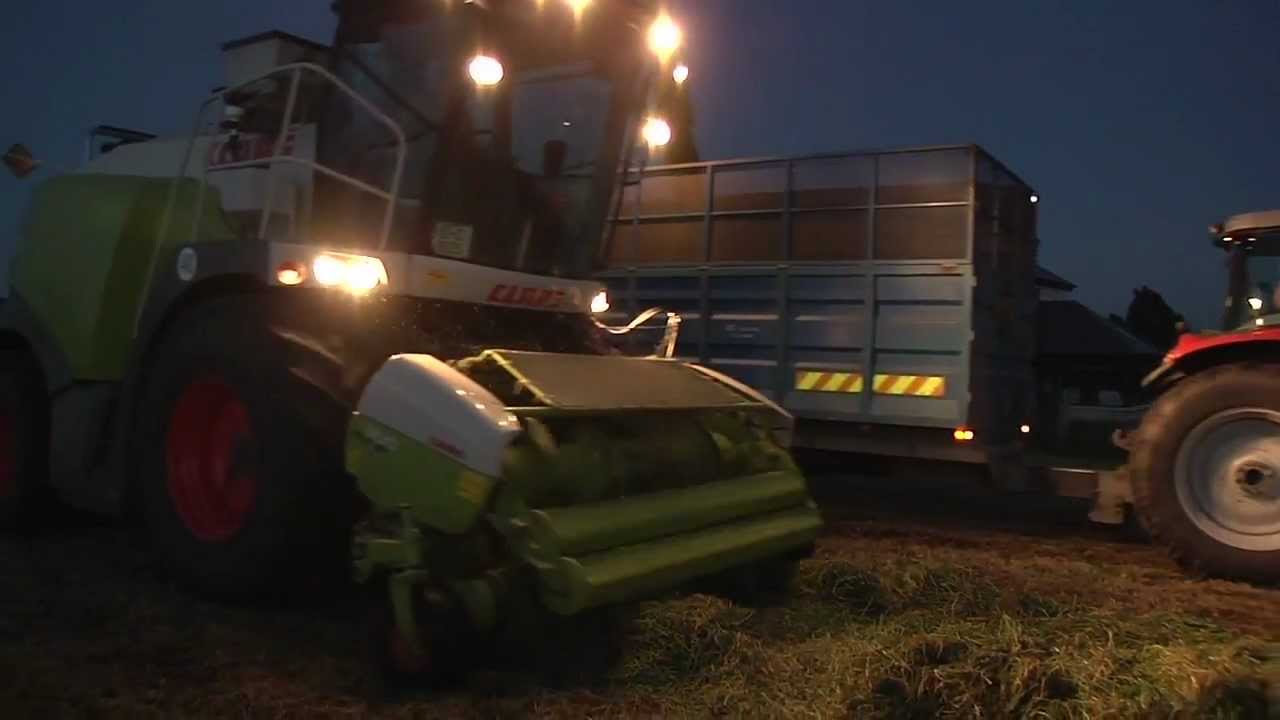 GRASSMEN - Green Fever (Night Work)