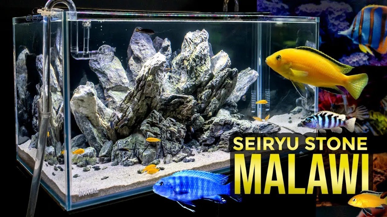 Malawi-Aquarium mit Beleuchtung INVITAL Lumium | INVITAL