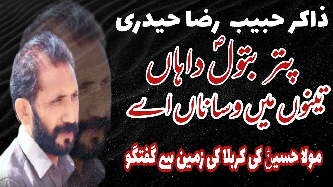zakir Habib Raza Haidri Top Class Qasida Puttar||Batool Da Han||Raza Azadari Network