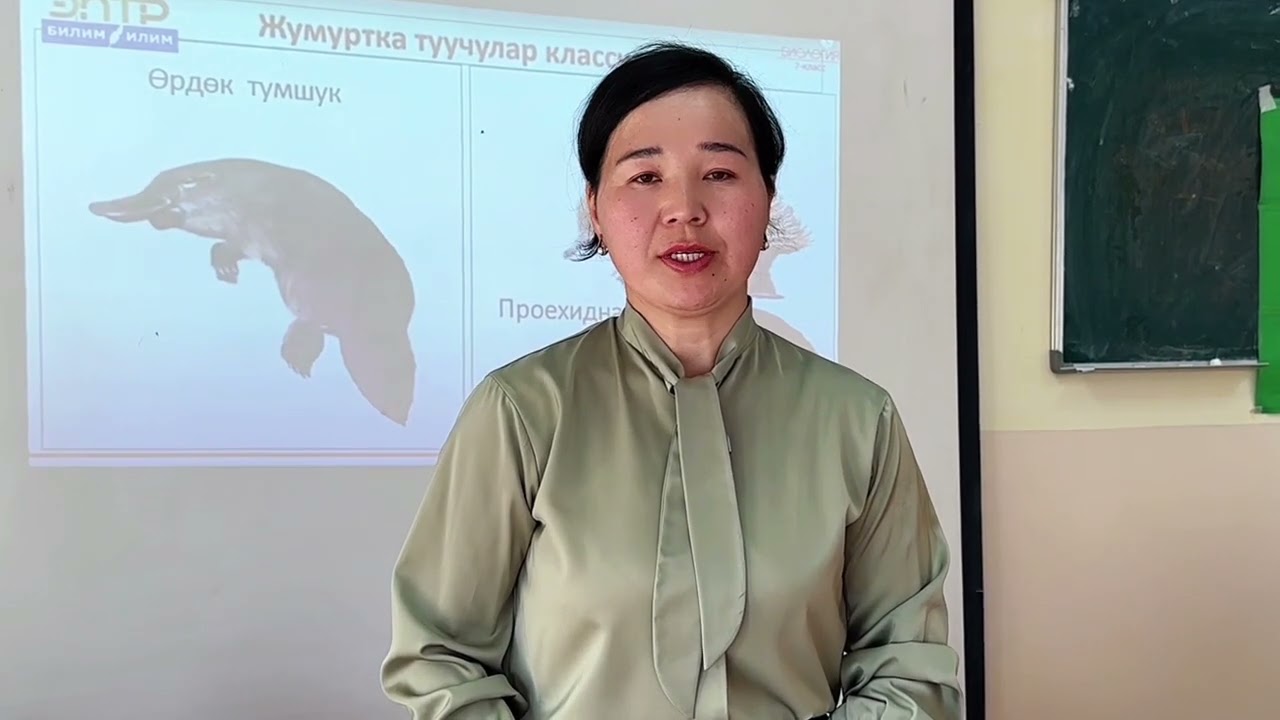 Рефлексия/Биология /Айсалкын Жамалдиновна