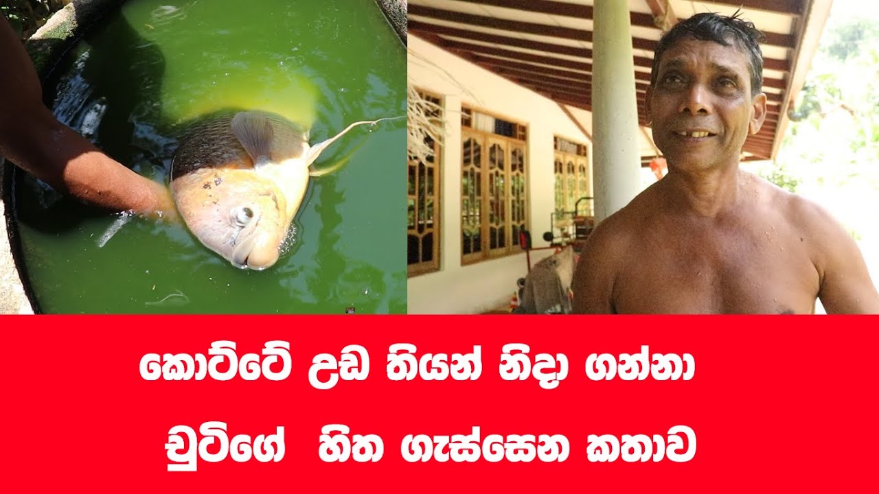 මාළුත් එක්ක දිසාව වෙනස් කර ගත් මිනිසා