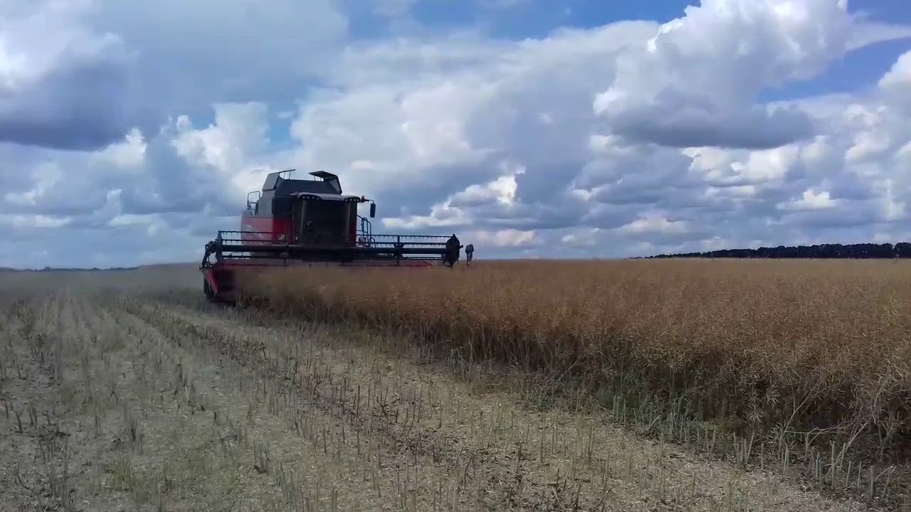 Massey Ferguson Beta 7370 з жаткою PowerFlow 7,7м