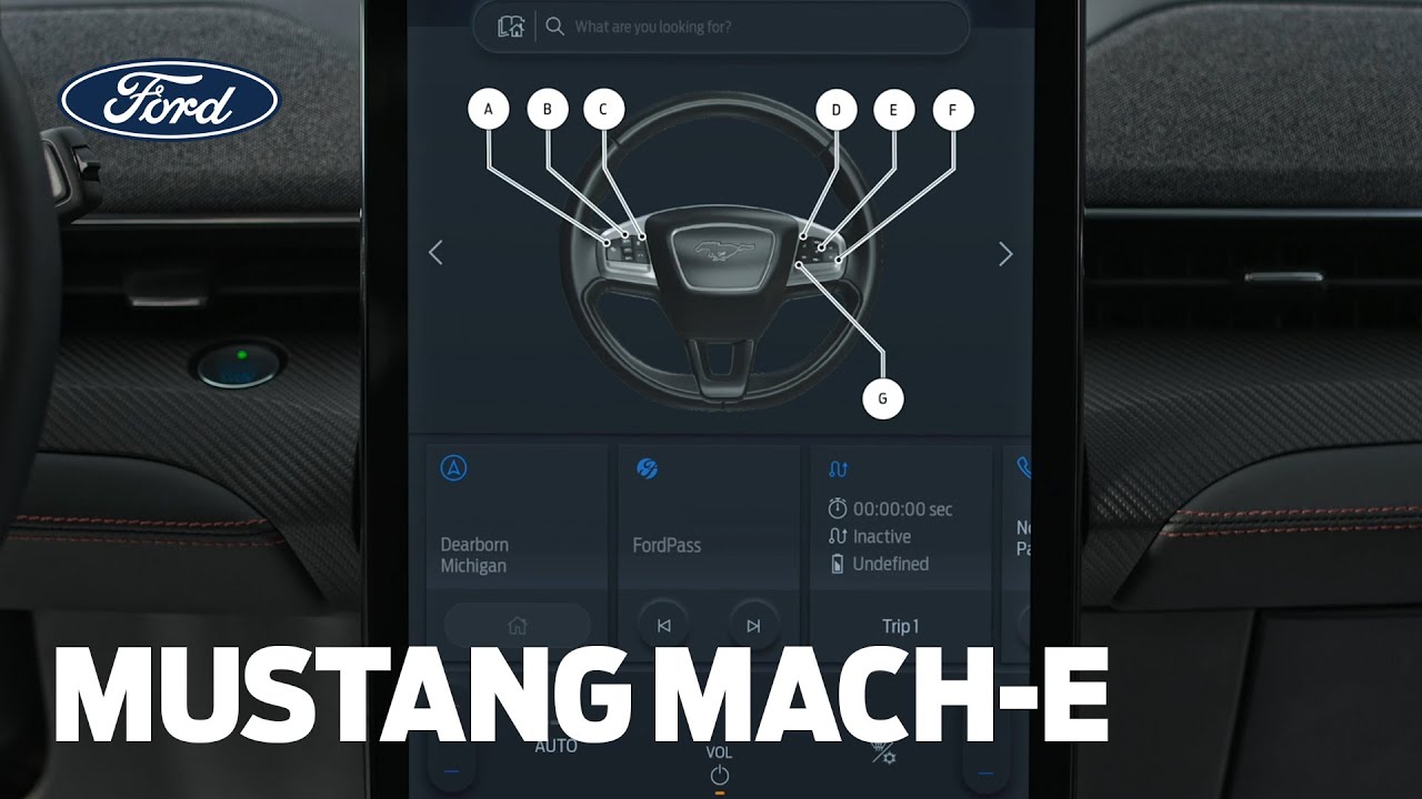 Electric car battery and Ford Aftercare | Mustang Mach-E | Ford Ireland