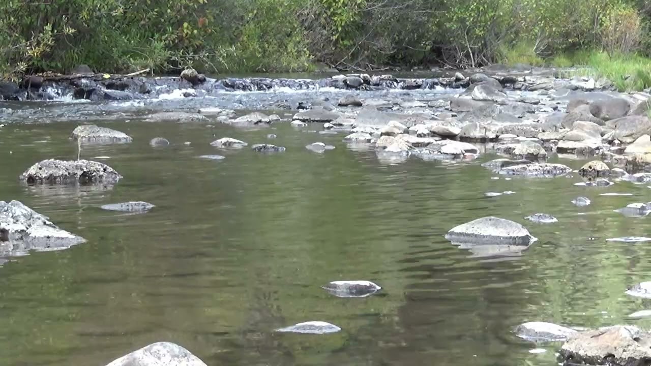 The Black River