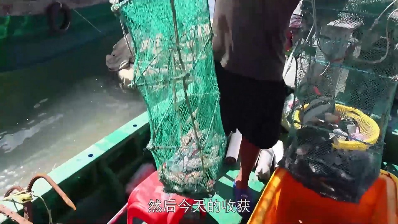 快过年了海鲜涨价，老四出海拉网抓了25斤货，上岸赚了上千块