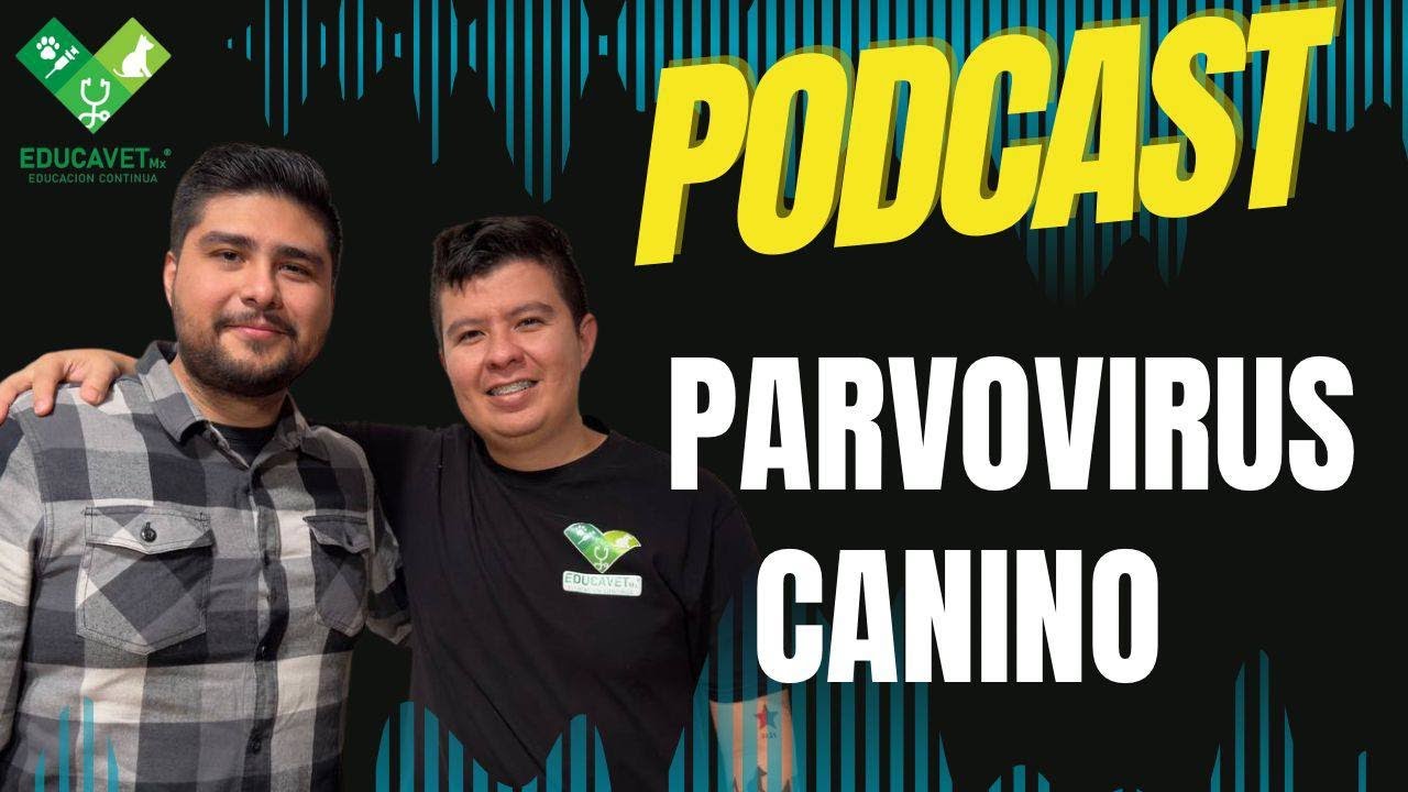 PARVOVIRUS CANINO, EL ENEMIGO DE LOS CACHORROS